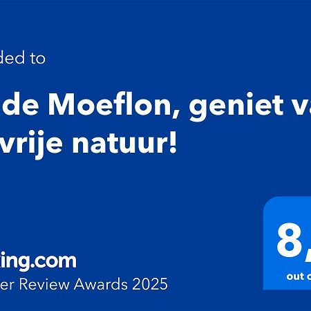 Wilde Moeflon, Geniet Van De Vrije Natuur! Otterlo Ngoại thất bức ảnh
