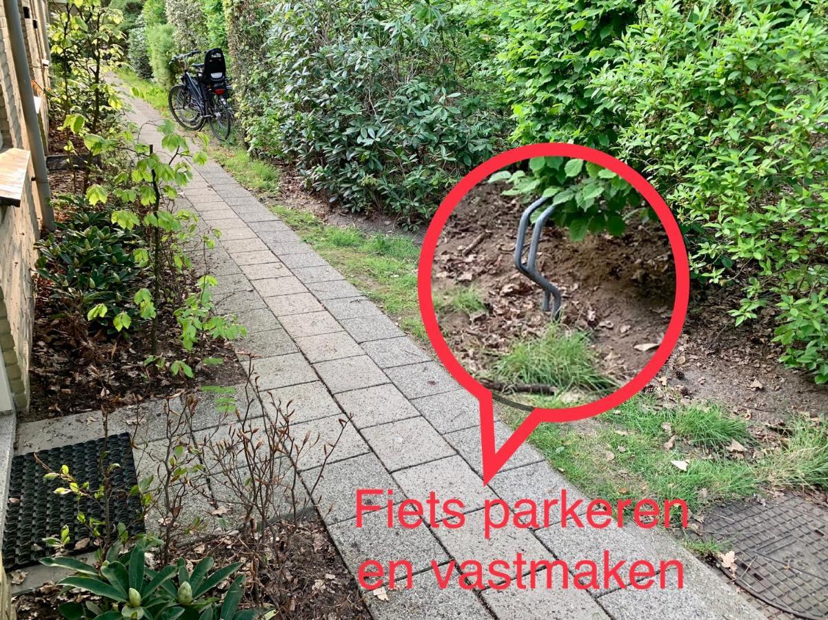 Wilde Moeflon, Geniet Van De Vrije Natuur! Otterlo Ngoại thất bức ảnh