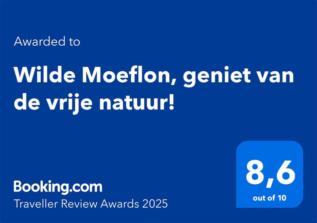 Wilde Moeflon, Geniet Van De Vrije Natuur! Otterlo Ngoại thất bức ảnh